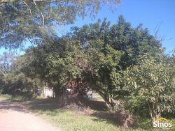 Sítio com 6.892,80m² no bairro Fazenda São Borja 