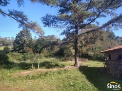 Sítio com 6.892,80m² no bairro Fazenda São Borja 