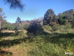 Sítio com 6.892,80m² no bairro Fazenda São Borja 