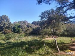 Sítio com 6.892,80m² no bairro Fazenda São Borja 
