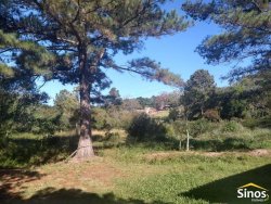 Sítio com 6.892,80m² no bairro Fazenda São Borja 