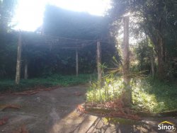 Terreno com casa antiga no bairro Hamburgo Velho 
