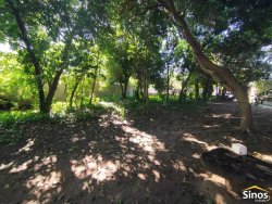 Terreno de 1.100m² com casa antiga no bairro Liberdade 