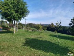 Sítio com 2.500m²  no bairro Lomba Grande 