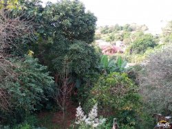 Casa de alvenaria com 02 dormitórios no bairro Rondônia  