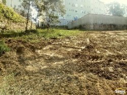 Terreno com 1.500m² no bairro Rondônia  