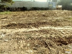 Terreno com 1.500m² no bairro Rondônia  