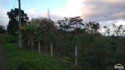 Terrenos com 2000m² no bairro Alpes do Vale  