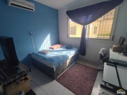Apartamento com 02 dormitórios no Residencial Tulipa  