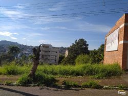 Terreno com 300m² no bairro Guarani  