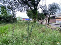 Terreno com 1.306,80m² no bairro Rio Branco  