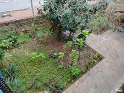 Sobrado com 04 dormitórios no bairro Vila Nova  