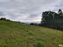 Sítio com 2,00 hectares em Lomba Grande 