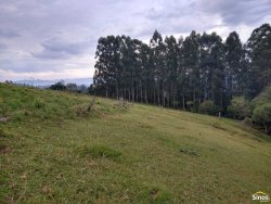 Sítio com 2,00 hectares em Lomba Grande 