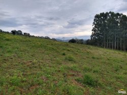 Sítio com 2,00 hectares em Lomba Grande 