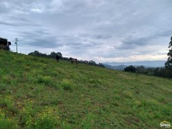Sítio com 2,00 hectares em Lomba Grande 