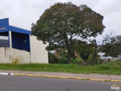 Terreno com 564,70m² no bairro Rondônia  