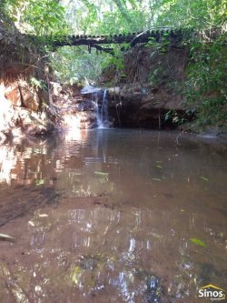 Sítio com 12,00 hectares no bairro Ipiranga  