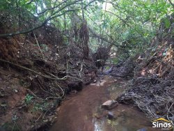 Sítio com 12,00 hectares no bairro Ipiranga  
