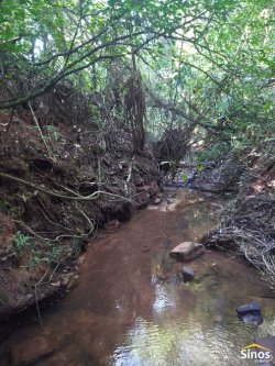 Sítio com 12,00 hectares no bairro Ipiranga  