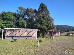 Sítio com 12,00 hectares no bairro Ipiranga  