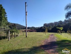 Sítio com 12,00 hectares no bairro Ipiranga  