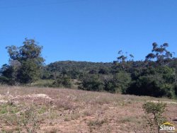 Sítio com 12,00 hectares no bairro Ipiranga  