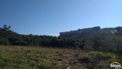 Sítio com 12,00 hectares no bairro Ipiranga  