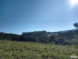 Sítio com 12,00 hectares no bairro Ipiranga  