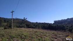 Sítio com 12,00 hectares no bairro Ipiranga  