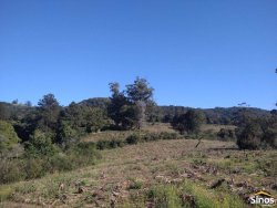 Sítio com 12,00 hectares no bairro Ipiranga  