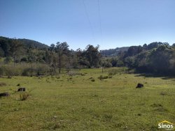 Sítio com 12,00 hectares no bairro Ipiranga  