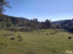 Sítio com 12,00 hectares no bairro Ipiranga  