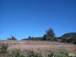 Sítio com 12,00 hectares no bairro Ipiranga  
