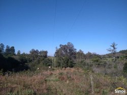 Sítio com 12,00 hectares no bairro Ipiranga  