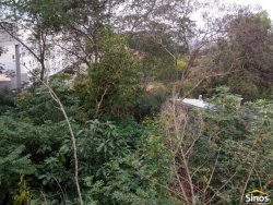 Terreno com casa no bairro Canudos  