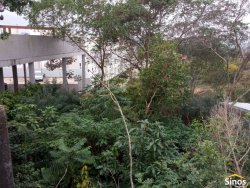 Terreno com casa no bairro Canudos  