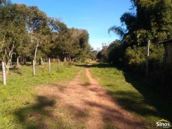 Sítio com 17.474m² no bairro Lomba Grande  