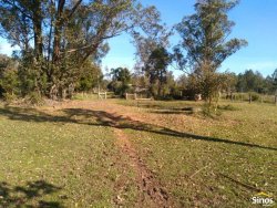 Sítio com 17.474m² no bairro Lomba Grande  