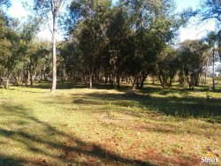 Sítio com 17.474m² no bairro Lomba Grande  