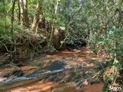 Sítio com 10,00 hectares no bairro Lomba Grande 