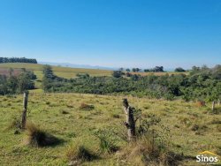 Sítio com 10,00 hectares no bairro Lomba Grande 