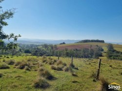 Sítio com 10,00 hectares no bairro Lomba Grande 