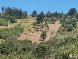 Sítio com 10,00 hectares no bairro Lomba Grande 
