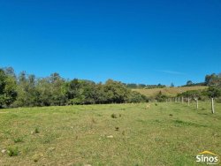 Sítio com 10,00 hectares no bairro Lomba Grande 