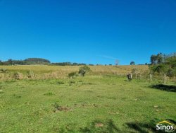 Sítio com 10,00 hectares no bairro Lomba Grande 