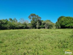 Sítio com 10,00 hectares no bairro Lomba Grande 