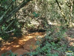 Sítio com 10,00 hectares no bairro Lomba Grande 