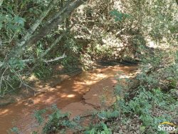 Sítio com 10,00 hectares no bairro Lomba Grande 