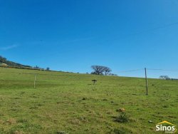 Sítio com 8,00 hectares no bairro Lomba Grande 